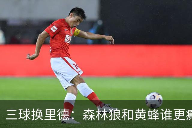 三球换里德：森林狼和黄蜂谁更癫？！