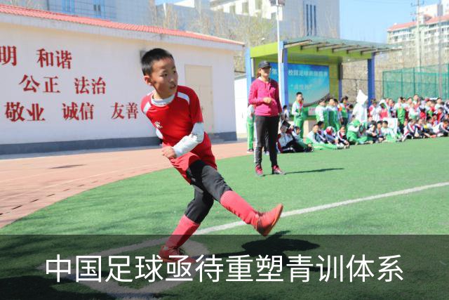 中国足球亟待重塑青训体系